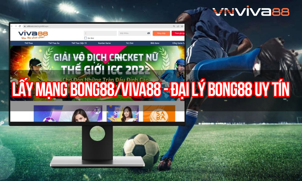 Lấy Mạng Viva88 - Mở Đại Lý Viva88 Uy tín